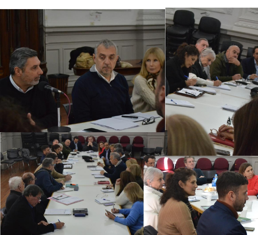 Primera reunión del año del Consejo Consultivo
